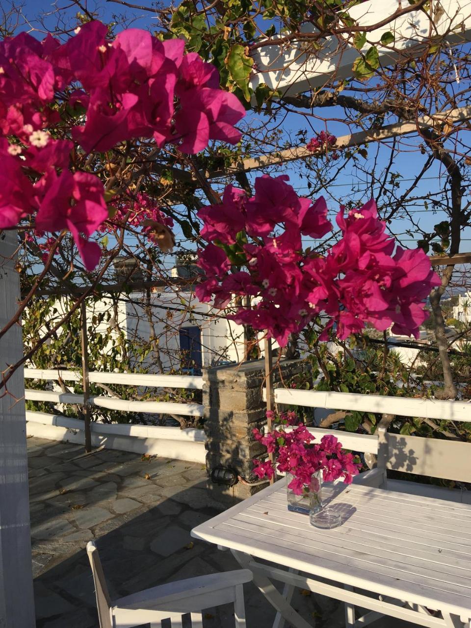 斯坦法诺公寓酒店 纳乌萨 外观 照片